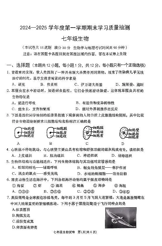 辽宁省大连市甘井子区2024-2025学年第一学期七年级生物学期末试卷（含答案）第1页