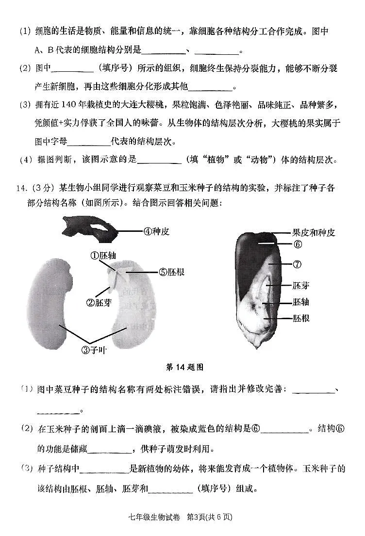 辽宁省大连市甘井子区2024-2025学年第一学期七年级生物学期末试卷（含答案）第3页