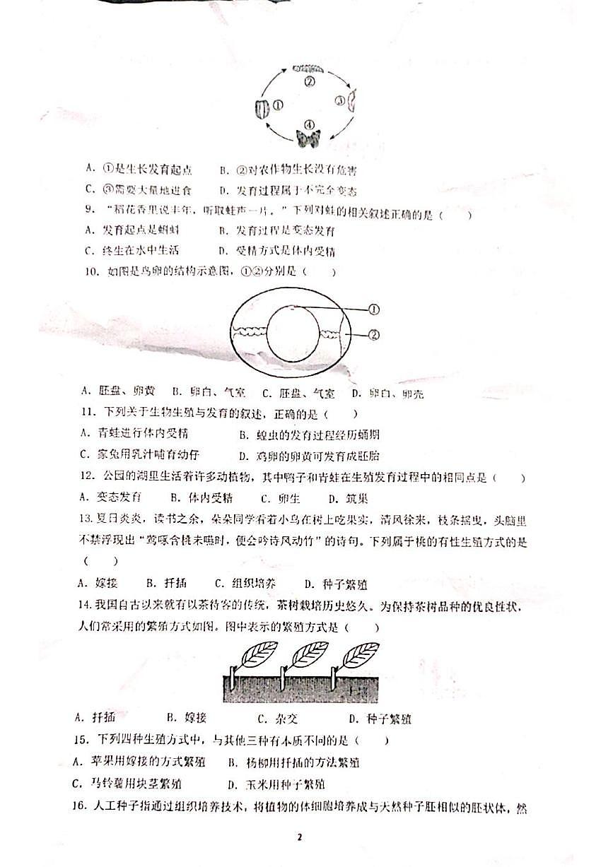 福建省泉州市安溪县第六中学2024-2025学年八年级上学期第二次月考生物试题第2页