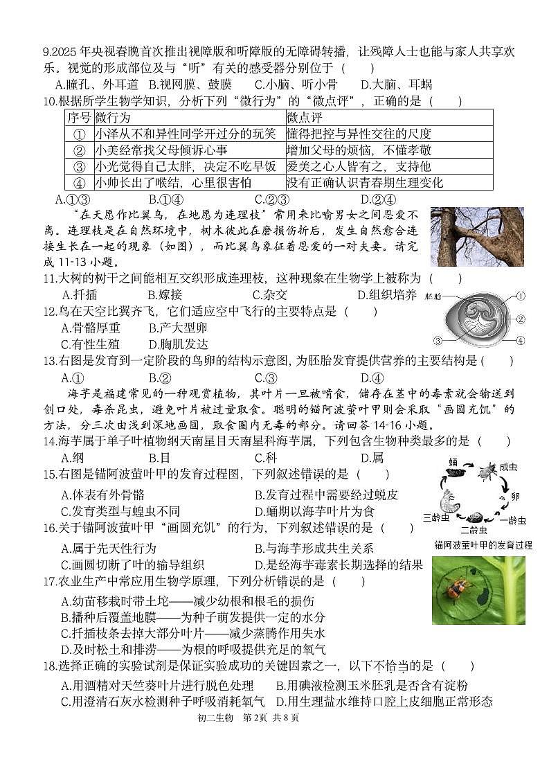 福建省厦门一中2024-2025学年八年级下学期期中考试生物试题第2页