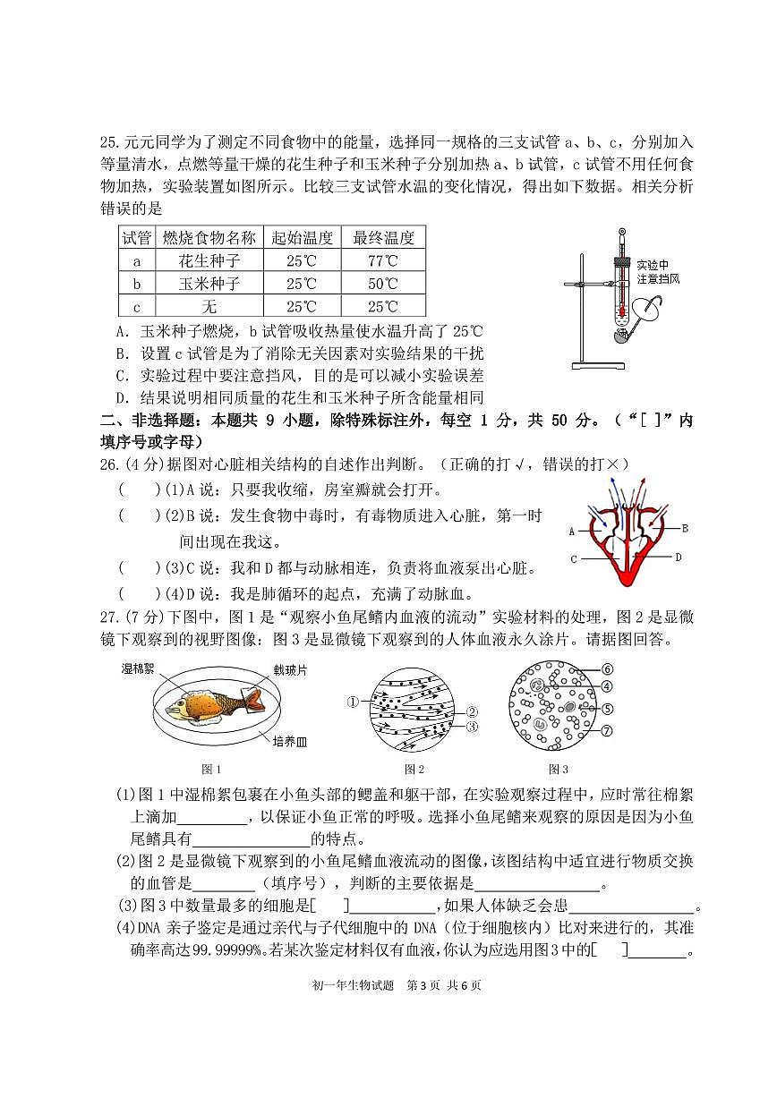 福建省泉州市南安市2024-2025学年七年级下学期期中考试生物试卷第3页