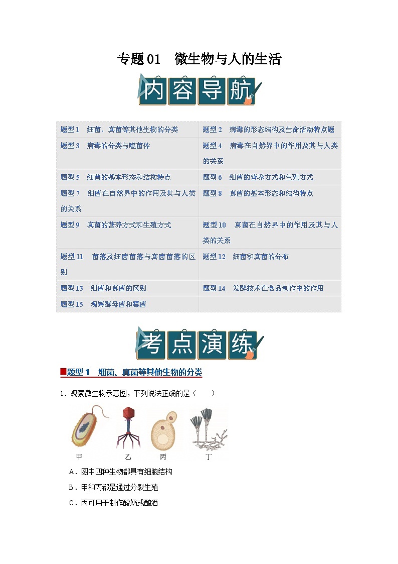 专题01  微生物与人的生活（期末复习专项训练）2025-2026学年八年级初中生物（北师大2024）（原卷版）第1页