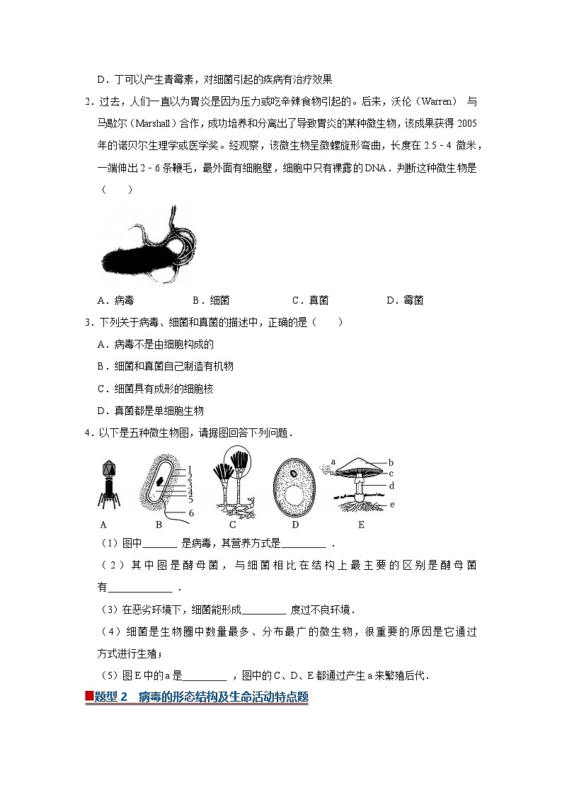 专题01  微生物与人的生活（期末复习专项训练）2025-2026学年八年级初中生物（北师大2024）（原卷版）第2页