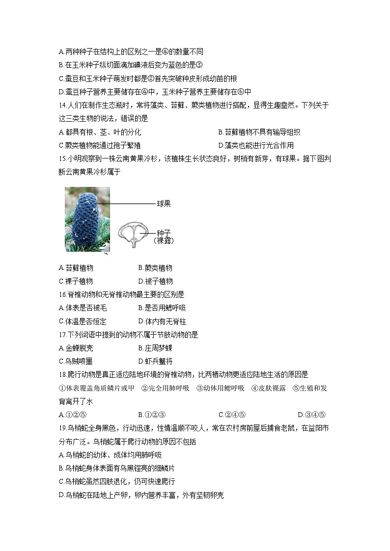 安徽省安庆市太湖县部分校联考2025-2026学年七年级上学期12月月考生物试卷（学生版）第3页