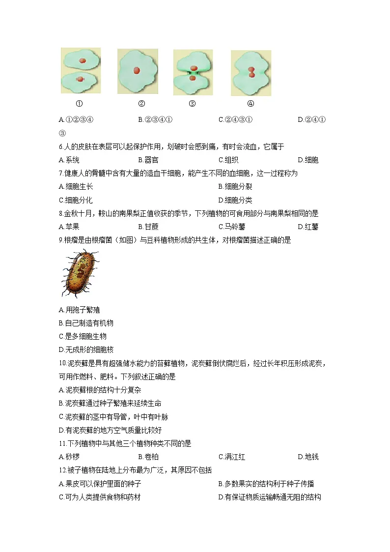 北京市海淀区2025-2026学年七年级上学期期末联考练习A生物试卷（学生版）第2页