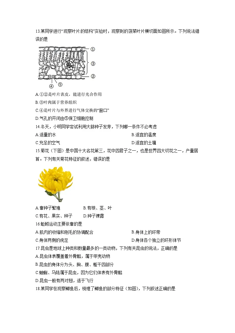 北京市海淀区2025-2026学年七年级上学期期末联考练习A生物试卷（学生版）第3页