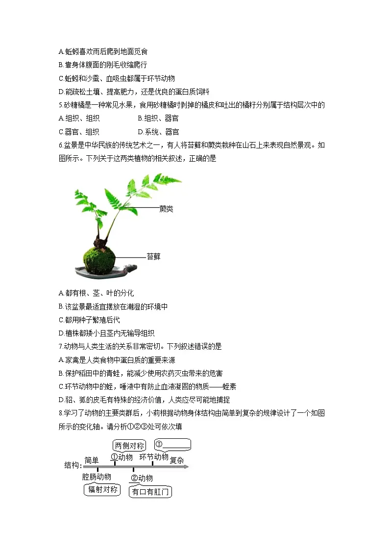 广东省茂名市信宜市2025-2026学年七年级上学期12月月考生物试卷（学生版）第2页
