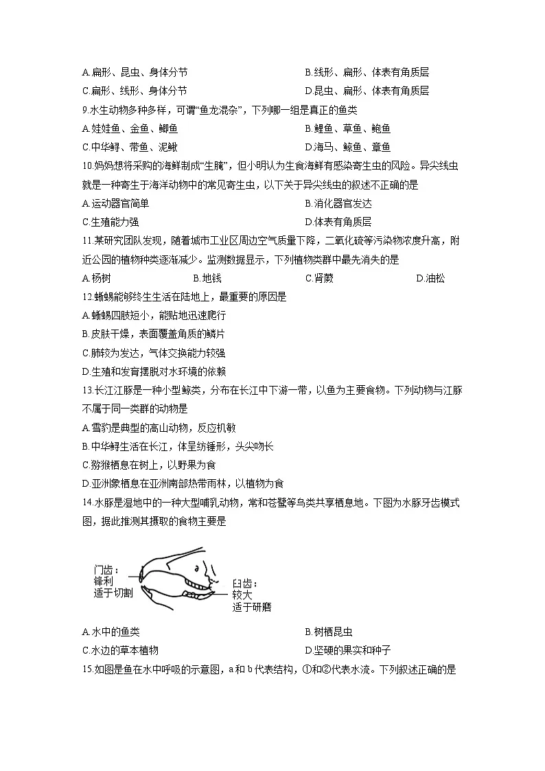 广东省茂名市信宜市2025-2026学年七年级上学期12月月考生物试卷（学生版）第3页