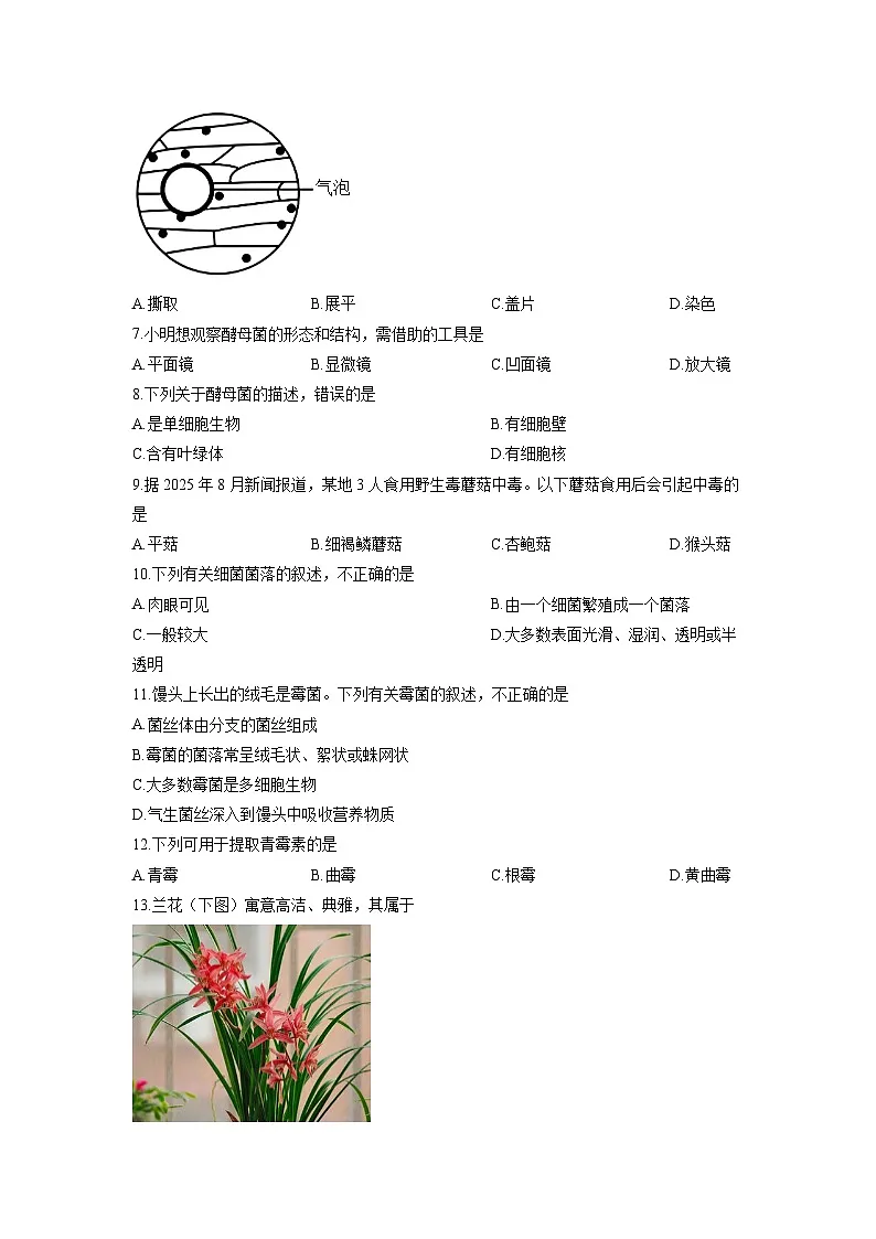 河北省邢台市任泽区2025-2026学年七年级上学期12月月考生物试卷（学生版）第2页