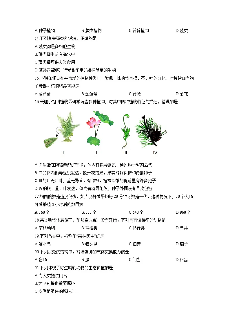 河北省邢台市任泽区2025-2026学年七年级上学期12月月考生物试卷（学生版）第3页
