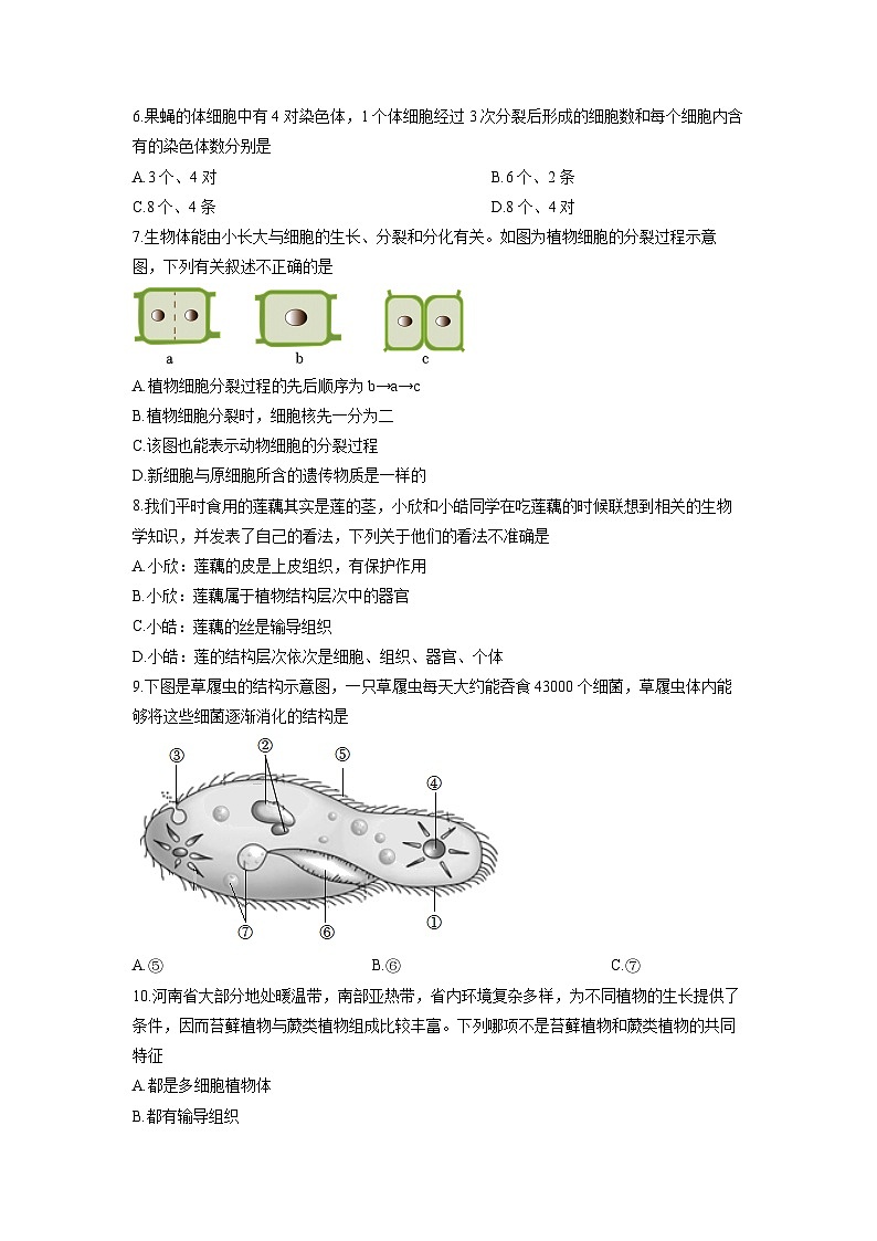河南省南阳市名校联考2025-2026学年七年级上学期期末练习生物试卷（学生版）第2页