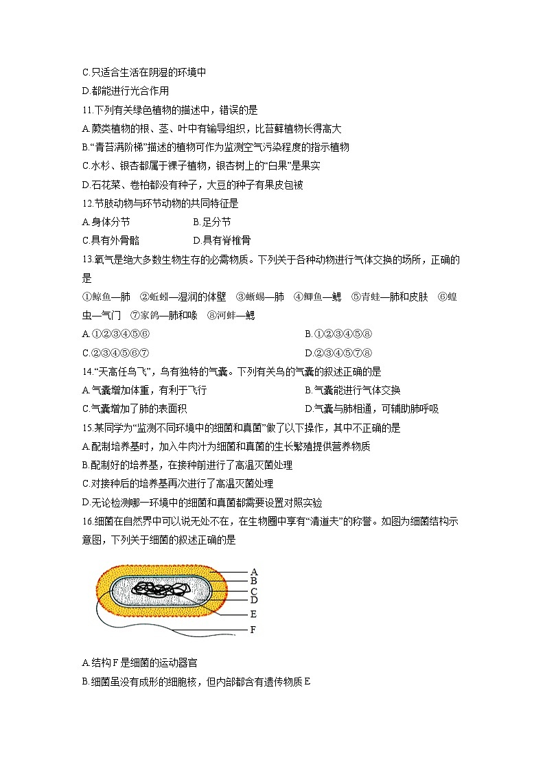 河南省南阳市名校联考2025-2026学年七年级上学期期末练习生物试卷（学生版）第3页