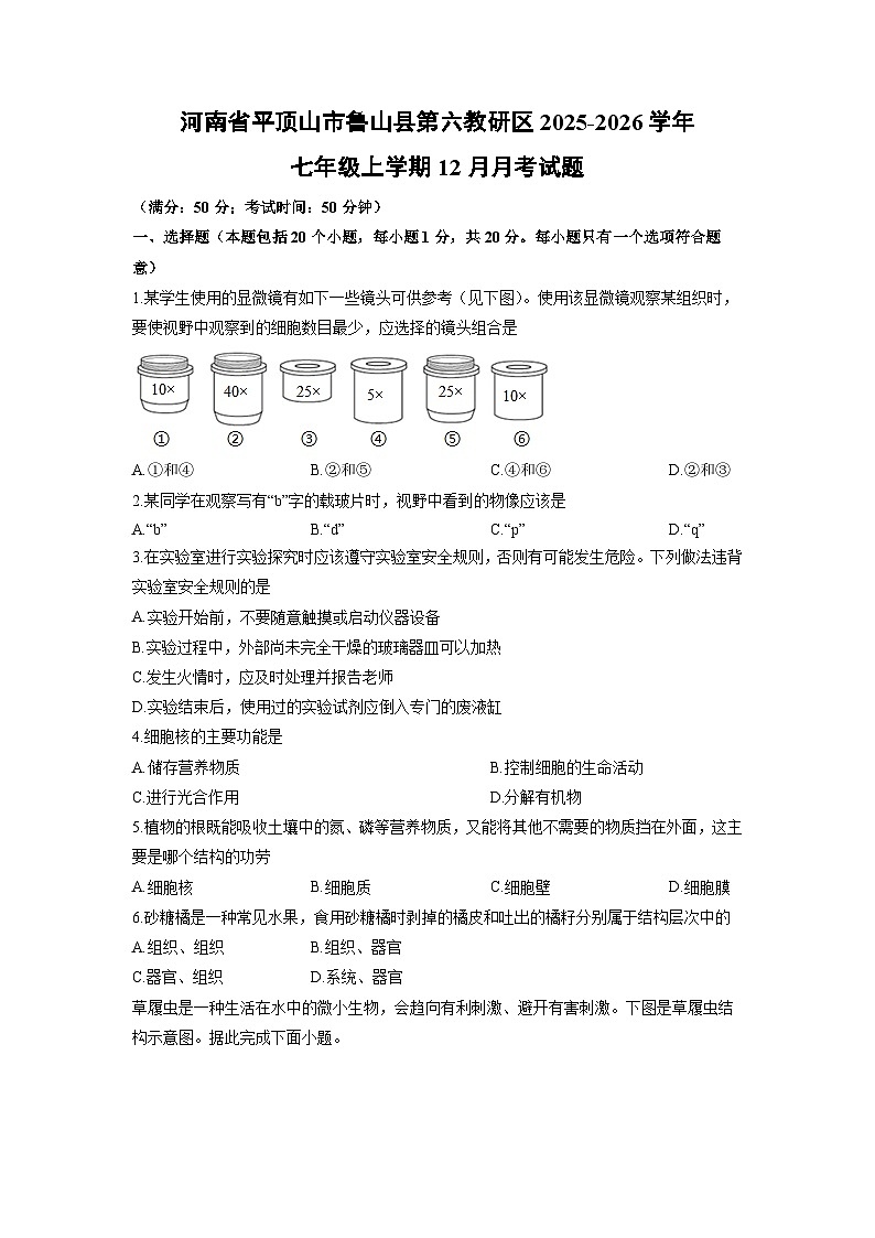 河南省平顶山市鲁山县第六教研区2025-2026学年七年级上学期12月月考生物试卷（学生版）第1页