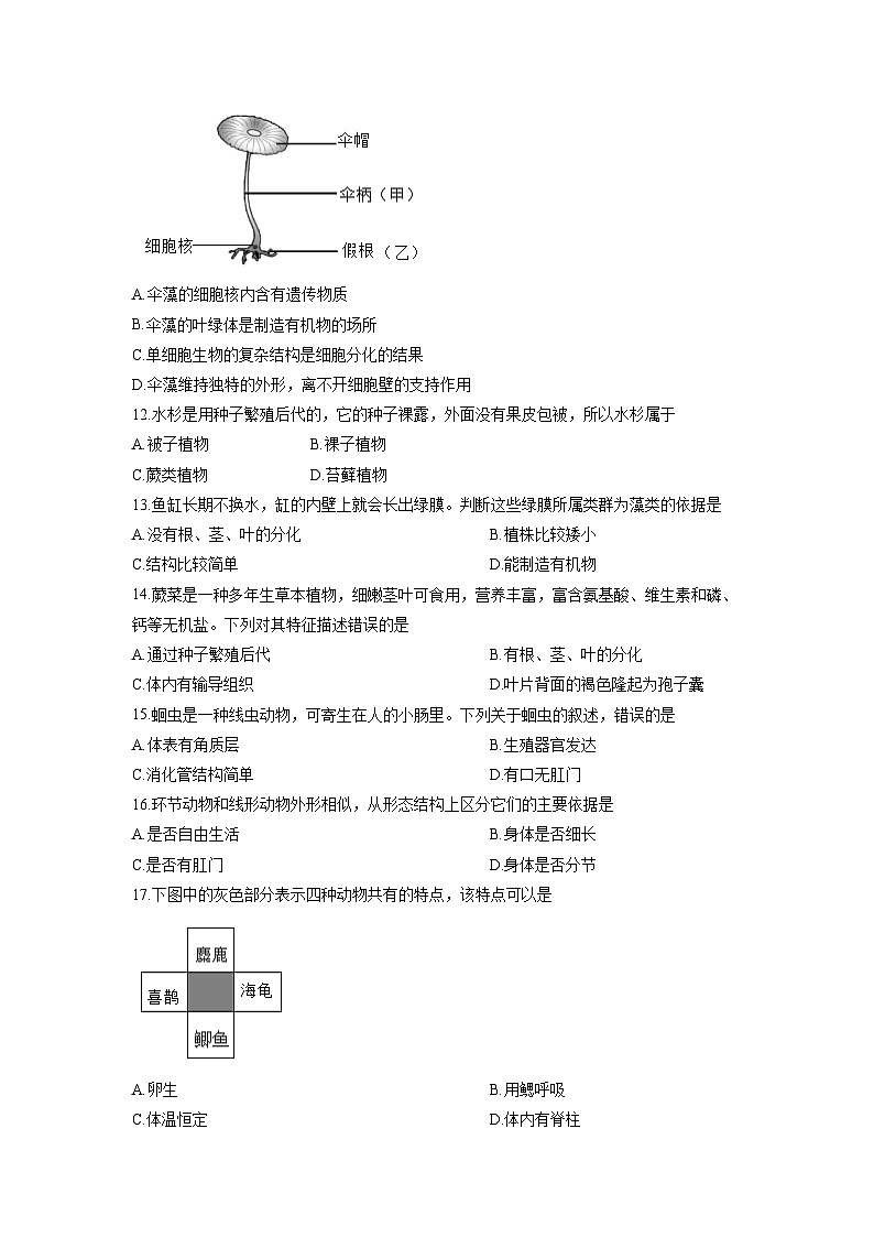 河南省平顶山市鲁山县第六教研区2025-2026学年七年级上学期12月月考生物试卷（学生版）第3页