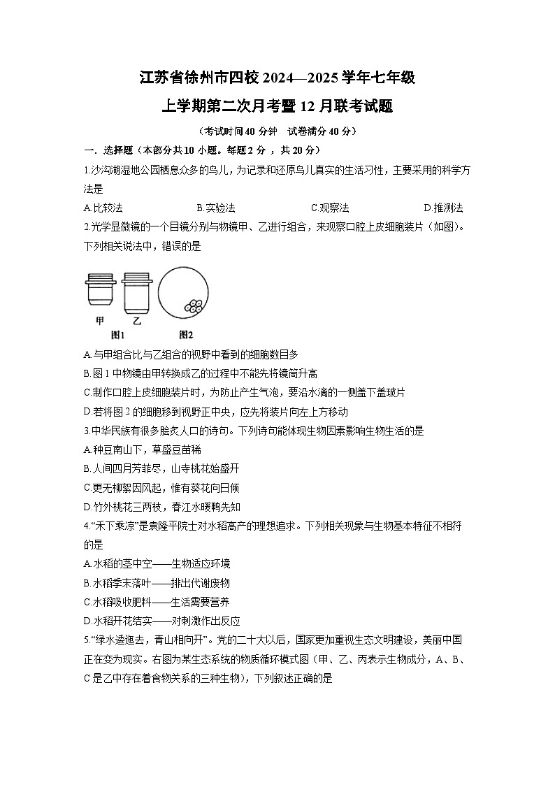 江苏省徐州市四校2024—2025学年七年级上学期第二次月考暨12月联考生物试卷（学生版）第1页