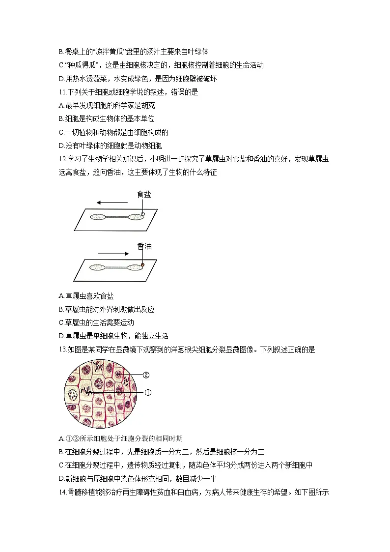 山东省济宁市金乡县等五县2025-2026学年七年级上学期期中生物试卷（学生版）第3页