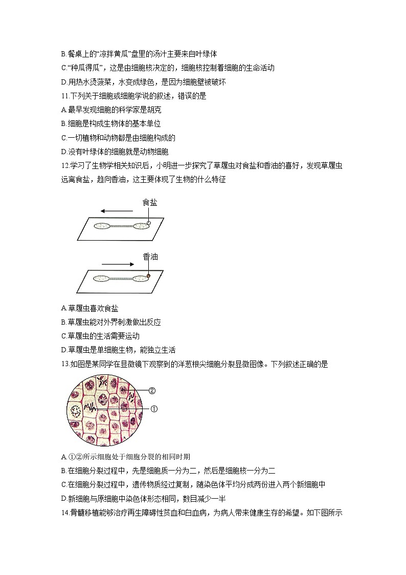 山东省济宁市金乡县等五县2025-2026学年七年级上学期期中生物试卷（学生版）第3页
