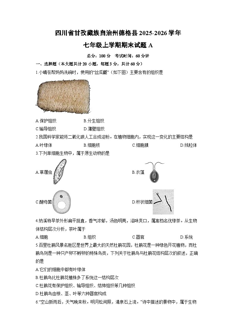 四川省甘孜藏族自治州德格县2025-2026学年七年级上学期期末A生物试卷（学生版）第1页