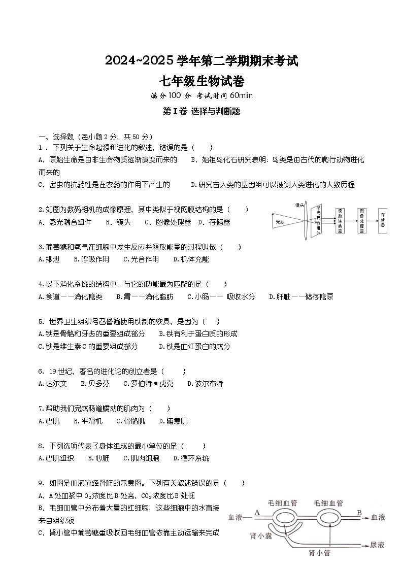 福建省福州市外国语学校2024~2025学年七年级下学期期末生物试题-A4第1页