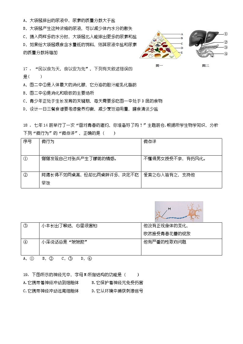 福建省福州市外国语学校2024~2025学年七年级下学期期末生物试题-A4第3页