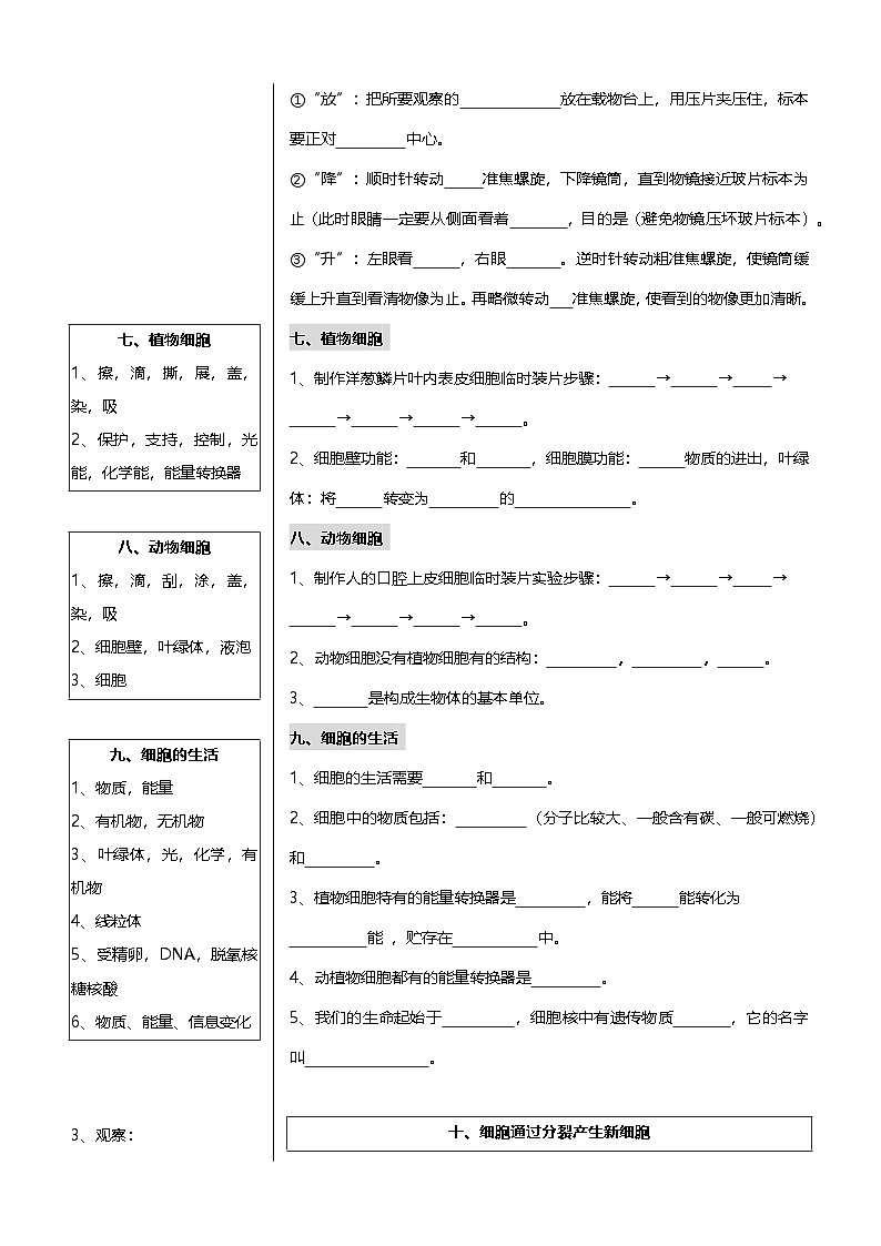 中考第一轮复习初中生物核心考点知识点速记100项第3页