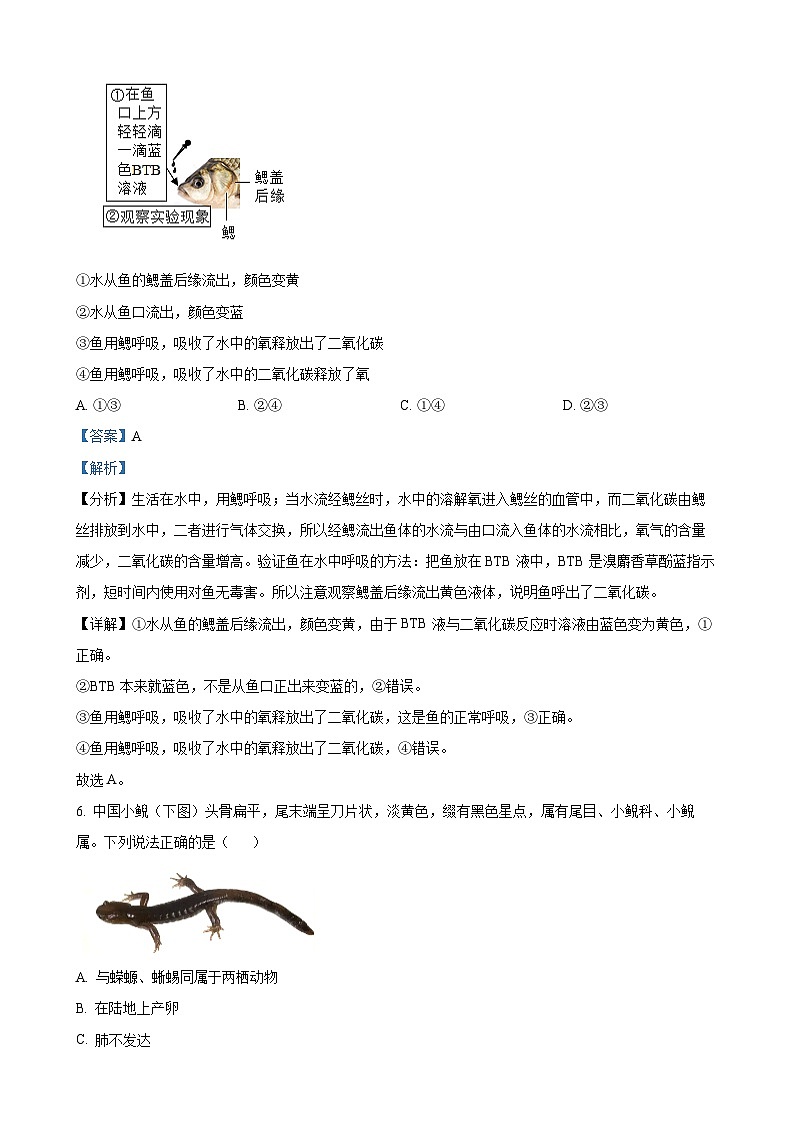 福建省平潭市八年级上学期期末生物试题（解析版）-A4第3页
