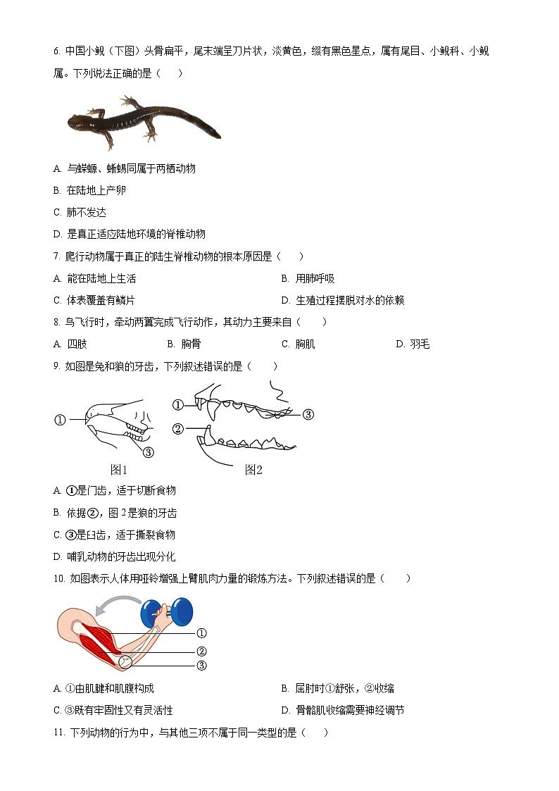 福建省平潭市八年级上学期期末生物试题（原卷版）-A4第2页