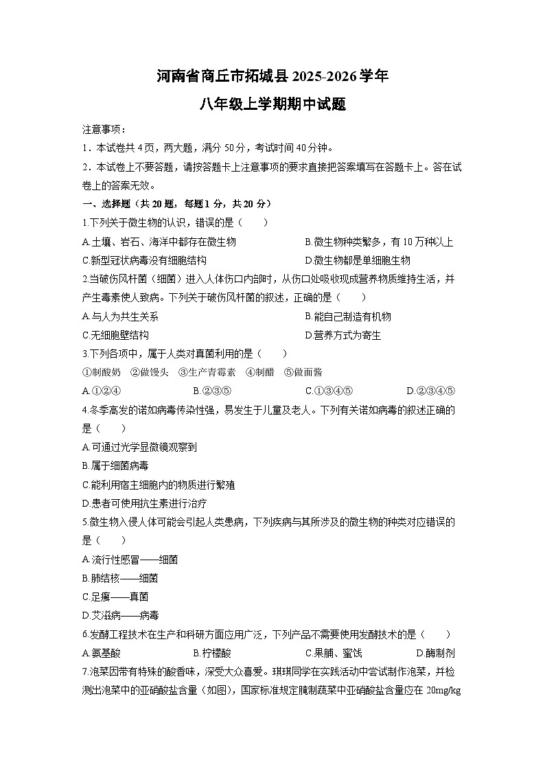 2025-2026学年河南省商丘市拓城县八年级上学期期中生物试卷（学生版）第1页
