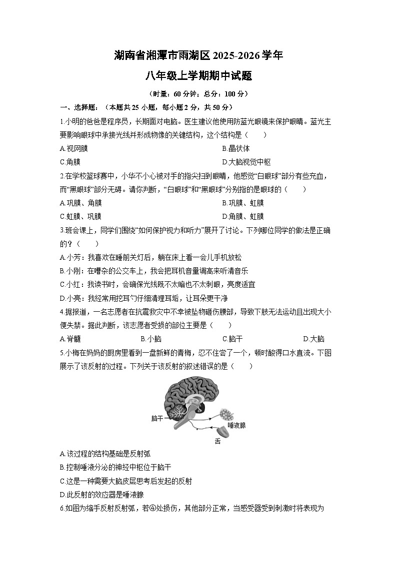 2025-2026学年湖南省湘潭市雨湖区八年级上学期期中生物试卷（学生版）第1页