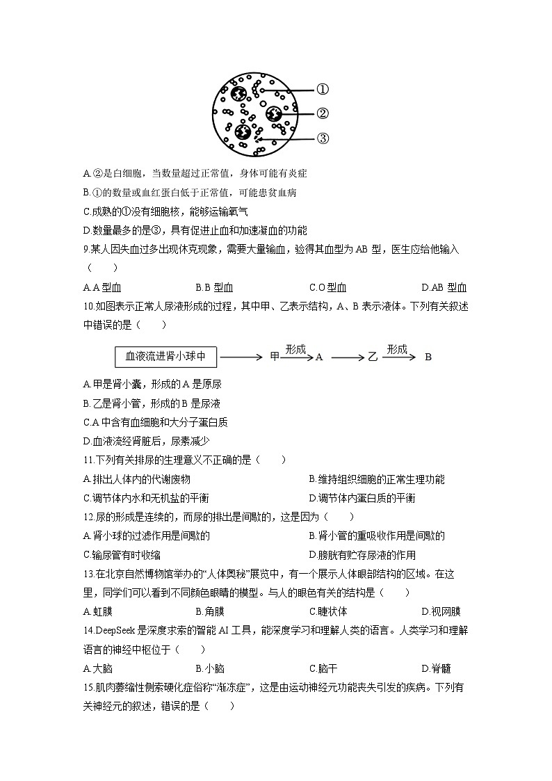 2025-2026学年湖南省怀化市八年级上学期期中生物试卷（学生版）第2页