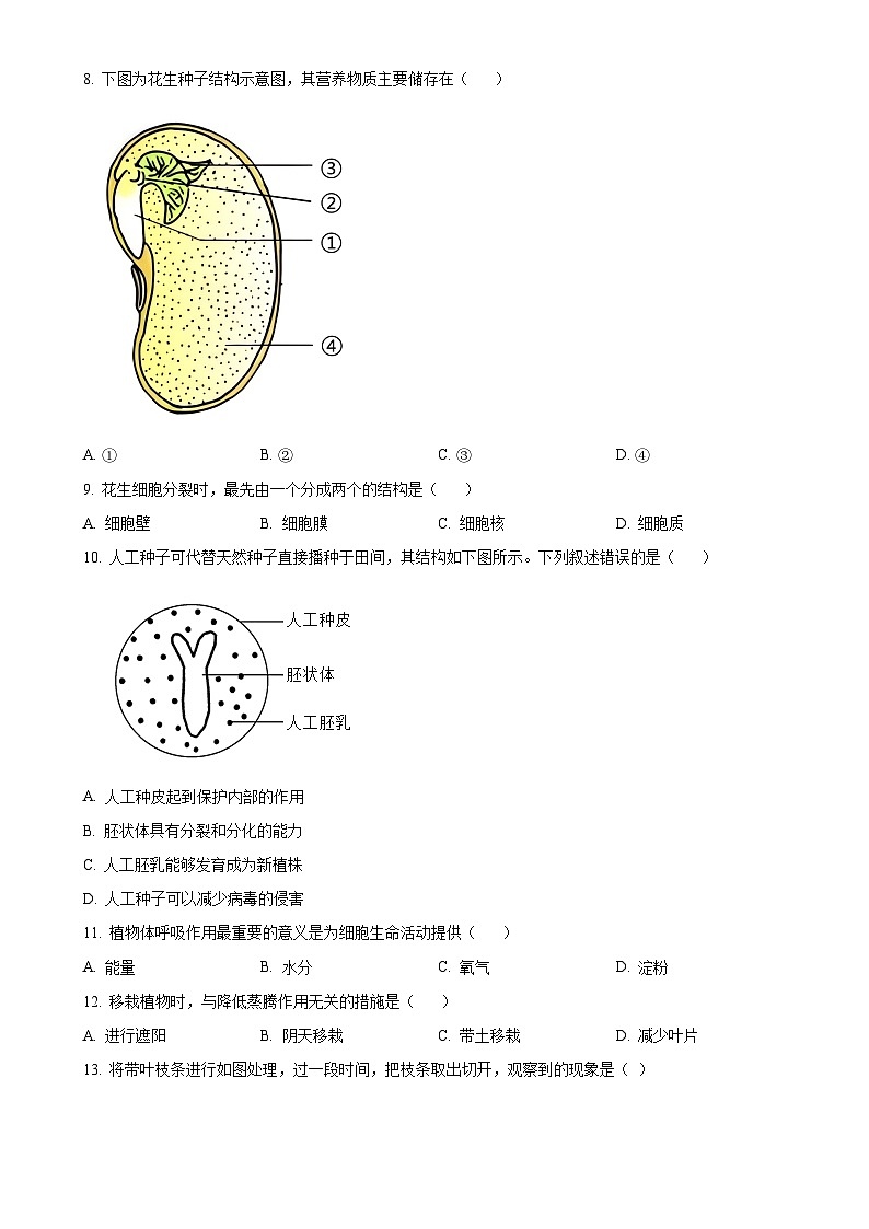 福建省泉州市晋江市七年级上学期期末生物试题（原卷版）-A4第2页