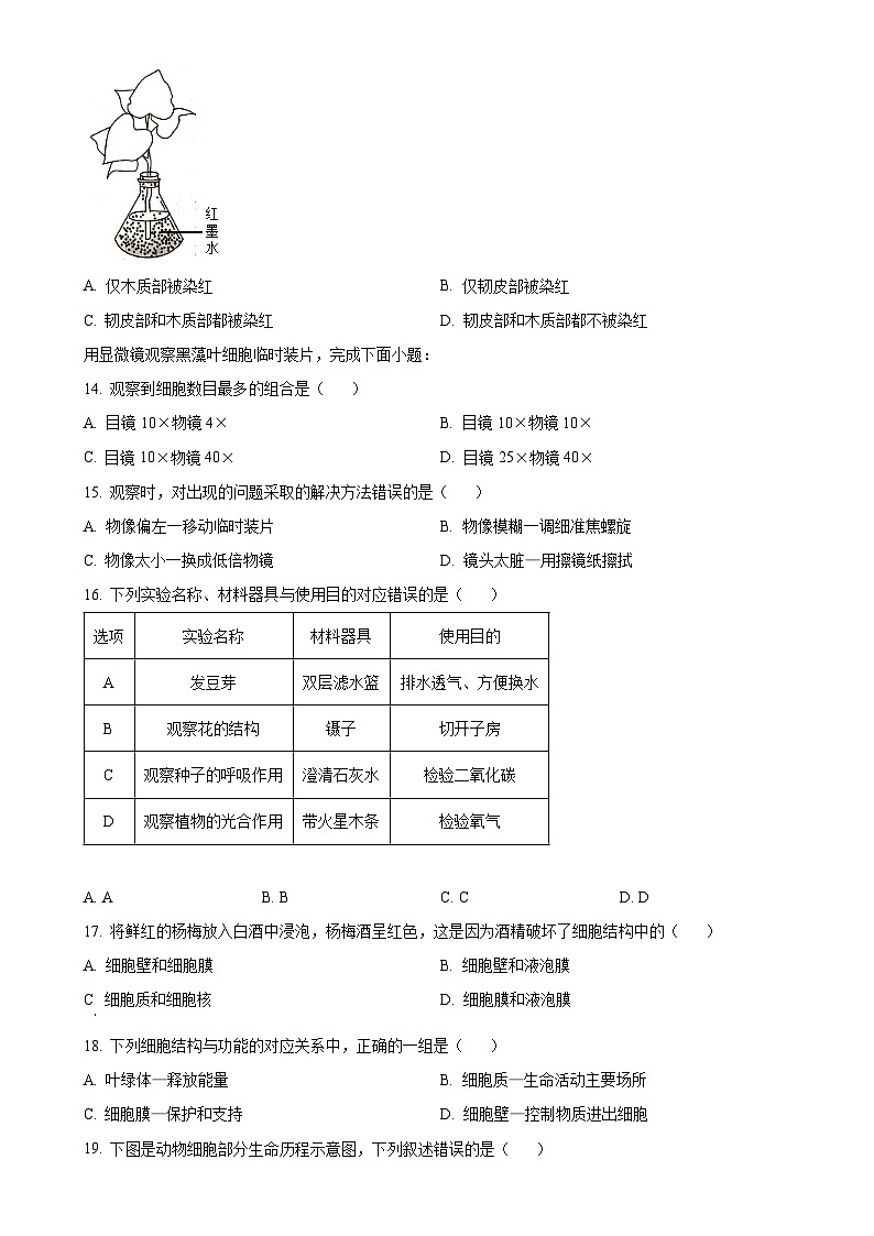 福建省泉州市晋江市七年级上学期期末生物试题（原卷版）-A4第3页