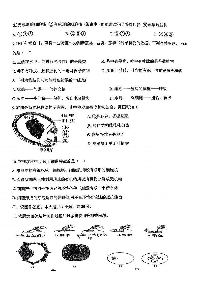 襄阳42中2025-2026学年上学期12月考七年级生物试卷（PDF版含答案)第2页