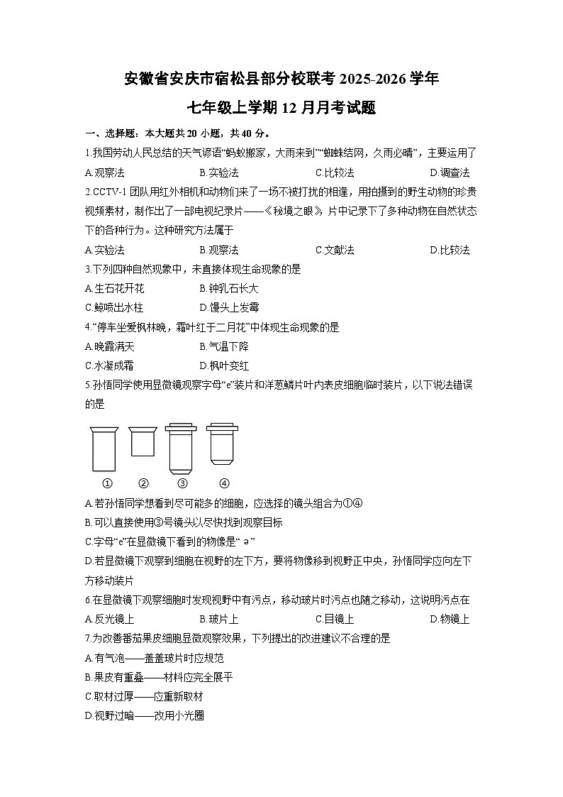 2025-2026学年安徽省安庆市宿松县部分校联考七年级上学期12月月考生物试卷（学生版）第1页