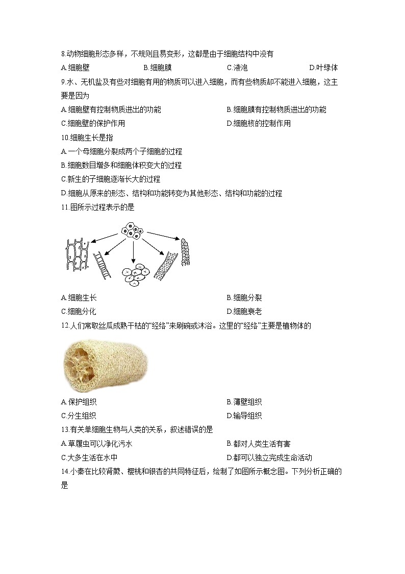 2025-2026学年安徽省安庆市宿松县部分校联考七年级上学期12月月考生物试卷（学生版）第2页