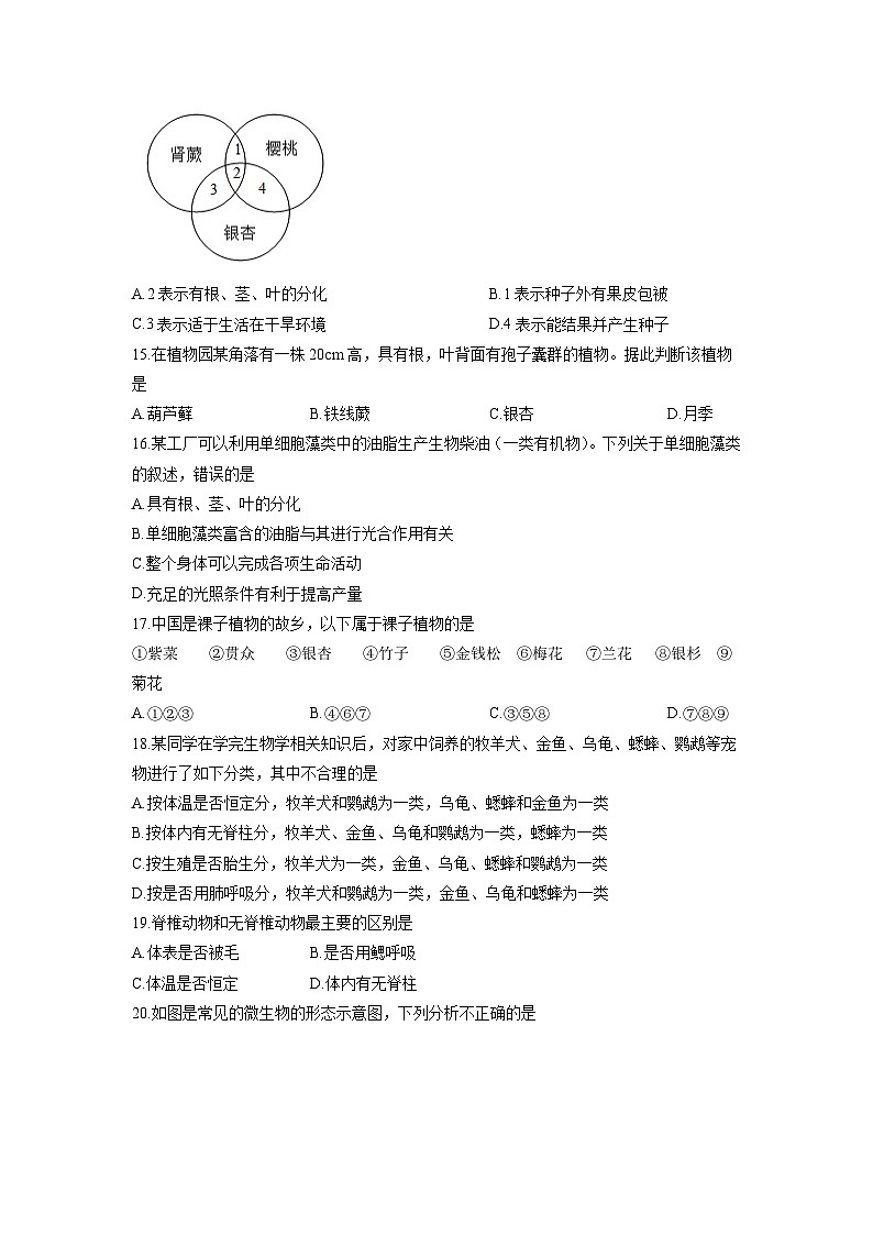 2025-2026学年安徽省安庆市宿松县部分校联考七年级上学期12月月考生物试卷（学生版）第3页