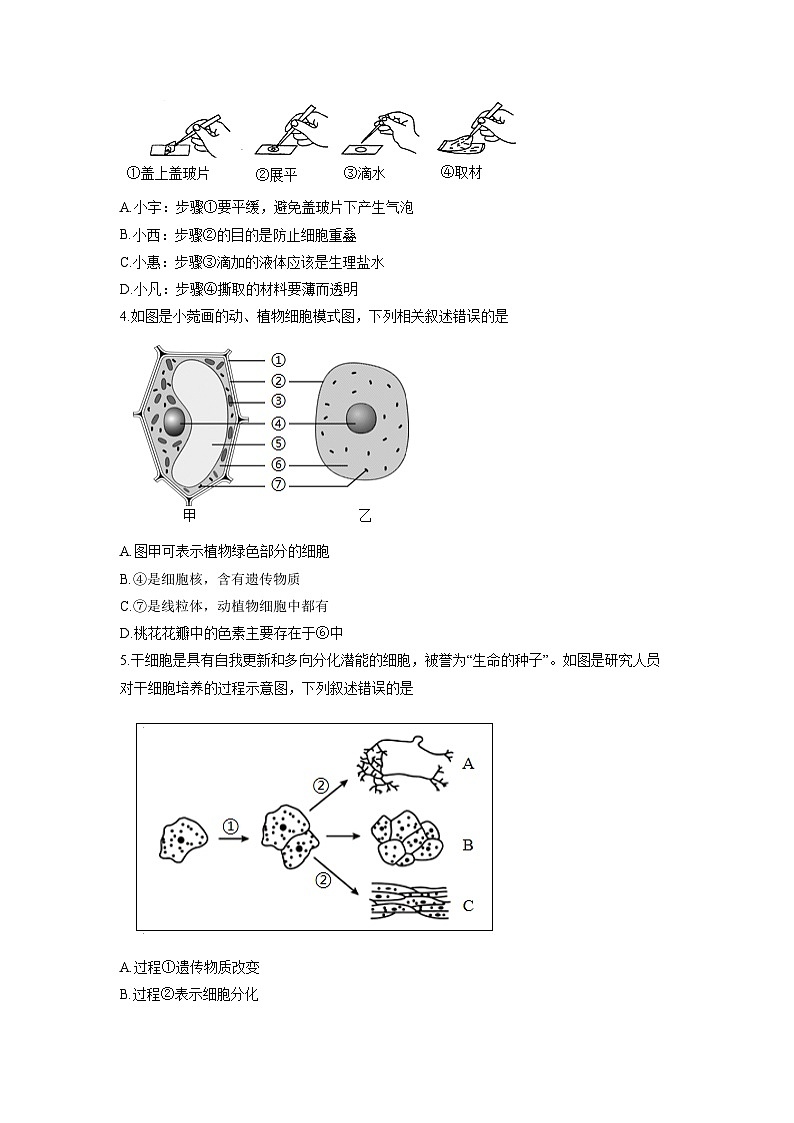 2025-2026学年安徽省宿州市部分学校度七年级上学期12月月考生物试卷（学生版）第2页