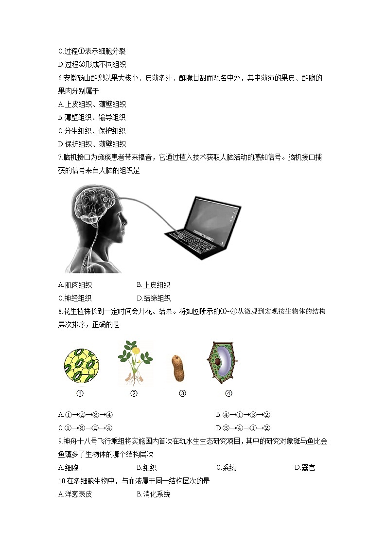 2025-2026学年安徽省宿州市部分学校度七年级上学期12月月考生物试卷（学生版）第3页