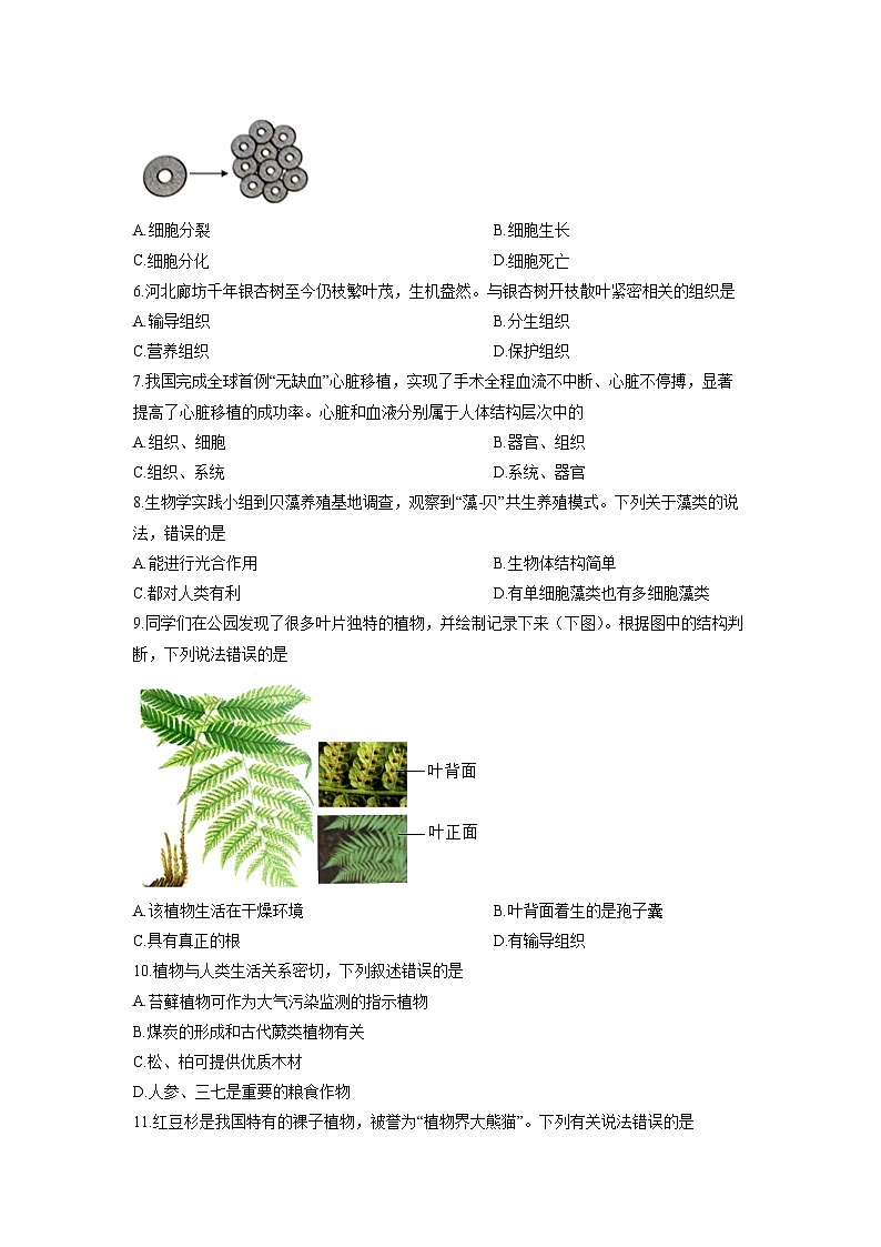 2025-2026学年河北省保定市高碑店市七年级上学期12月月考生物试卷（学生版）第2页
