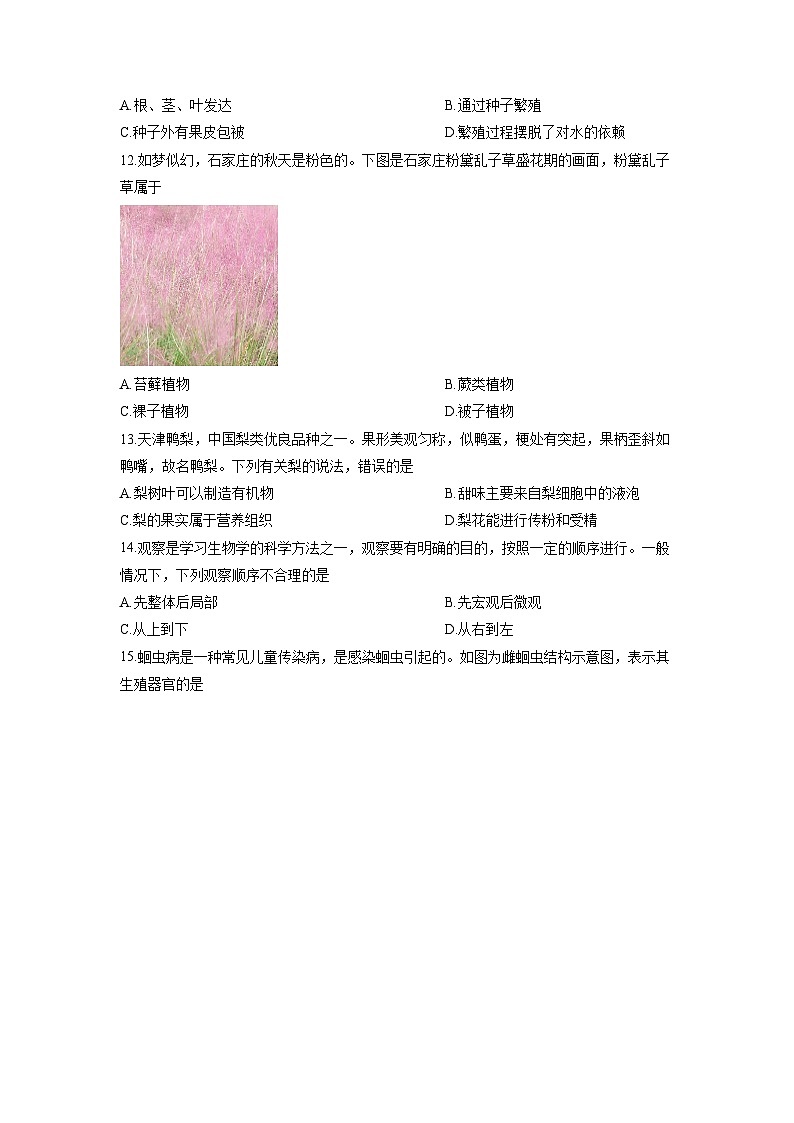 2025-2026学年河北省保定市高碑店市七年级上学期12月月考生物试卷（学生版）第3页