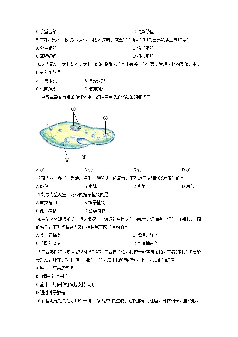 2025-2026学年河南省周口市郸城县七年级上学期12月月考生物试卷（学生版）第2页