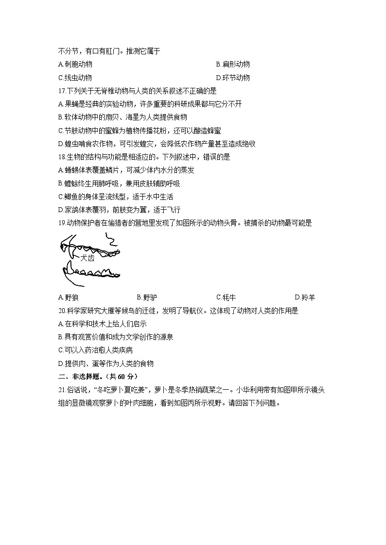 2025-2026学年河南省周口市郸城县七年级上学期12月月考生物试卷（学生版）第3页
