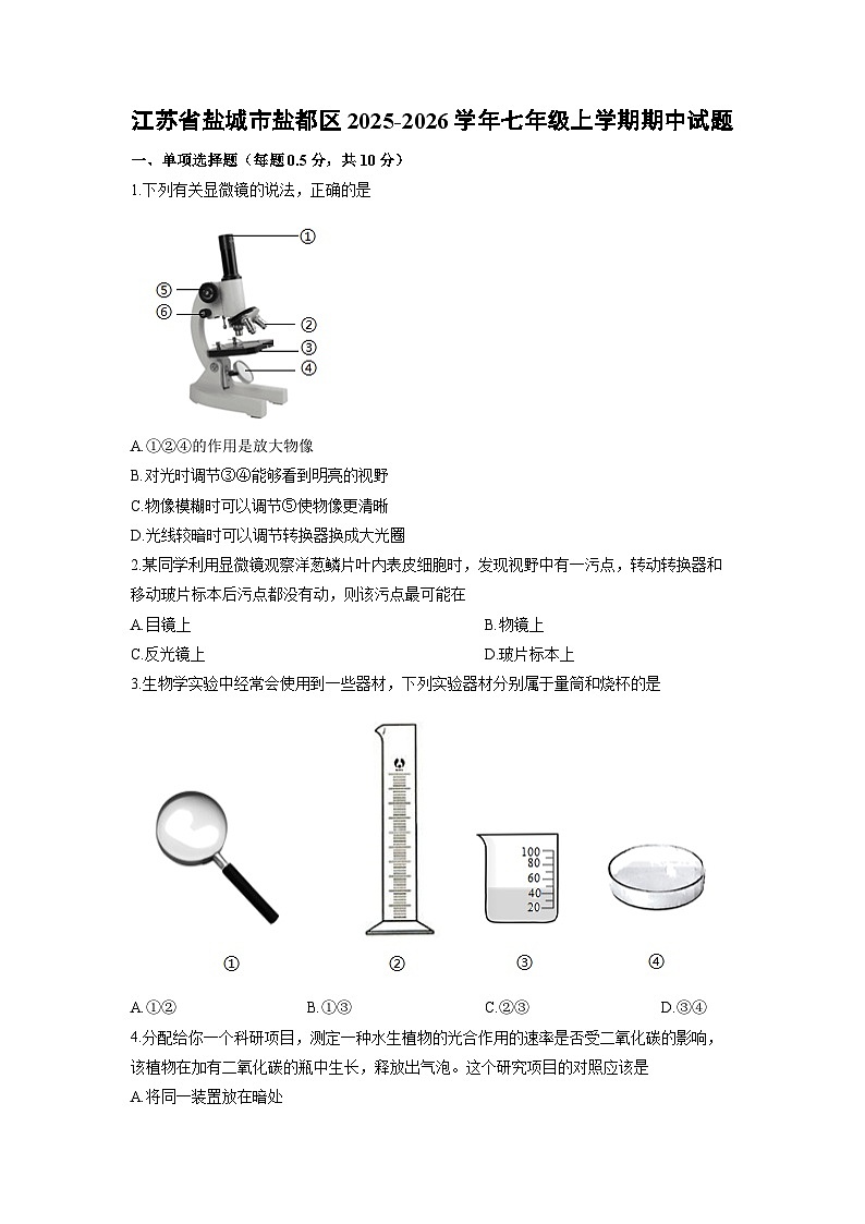 2025-2026学年江苏省盐城市盐都区七年级上学期期中生物试卷（学生版）第1页