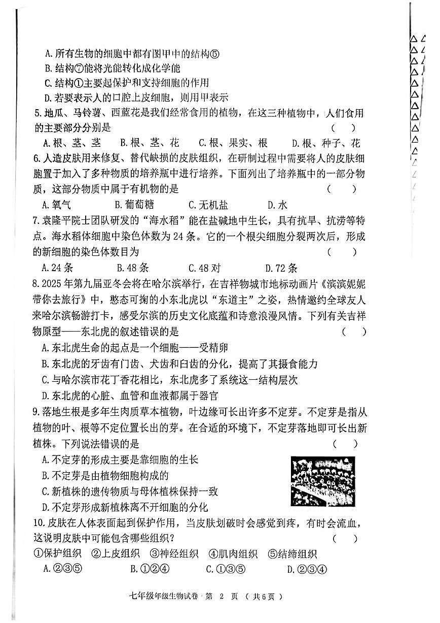 黑龙江省齐齐哈尔市龙江县2025-2026学年七年级上学期12月期末生物试题（PDF版，无答案）第2页