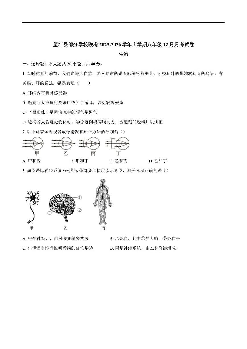 安徽省安庆市望江县部分校联考2025-2026学年八年级上学期12月月考生物试题（含答案）第1页