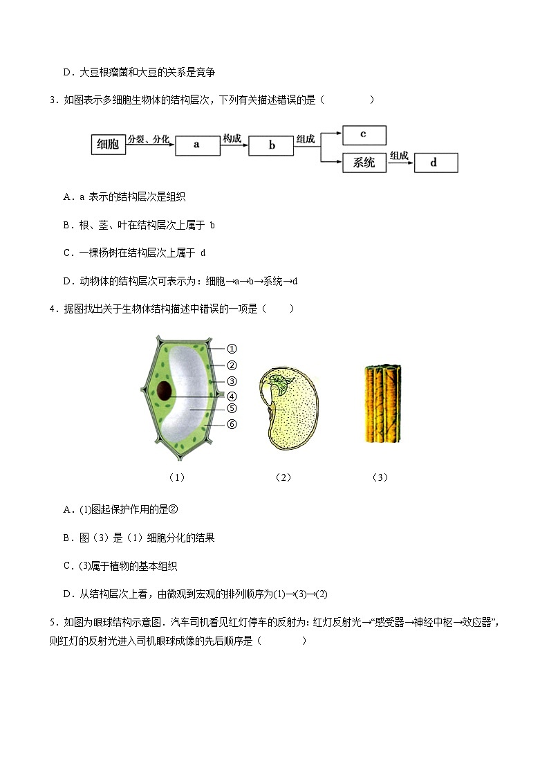 2024年中考生物（安徽）第三次模拟考试（含答案）第2页