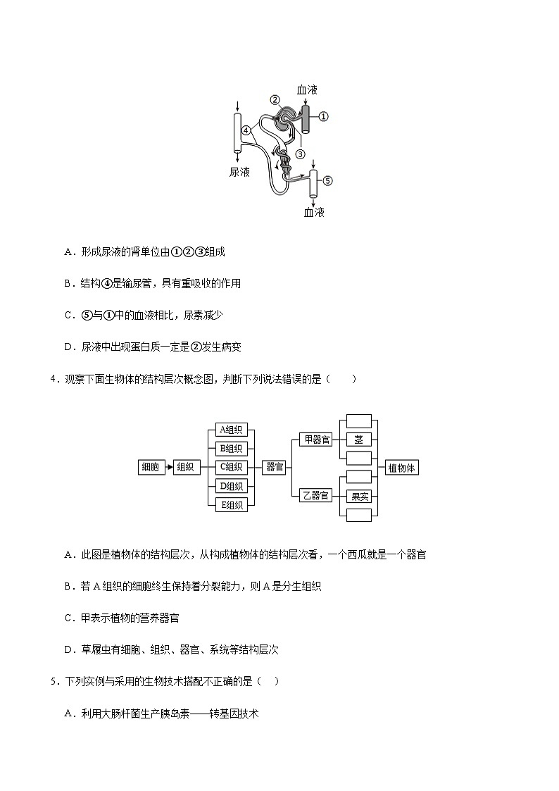 2024年中考生物（广西）第三次模拟考试（含答案）第2页