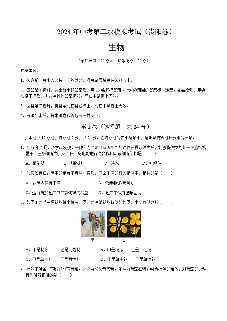 2024年中考生物（贵阳）第二次模拟考试（含答案）第1页
