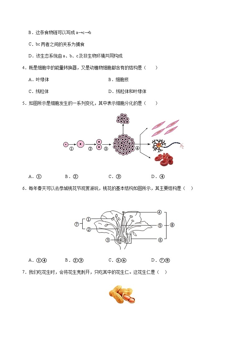2024年中考生物（海南）第二次模拟考试（含答案）第2页