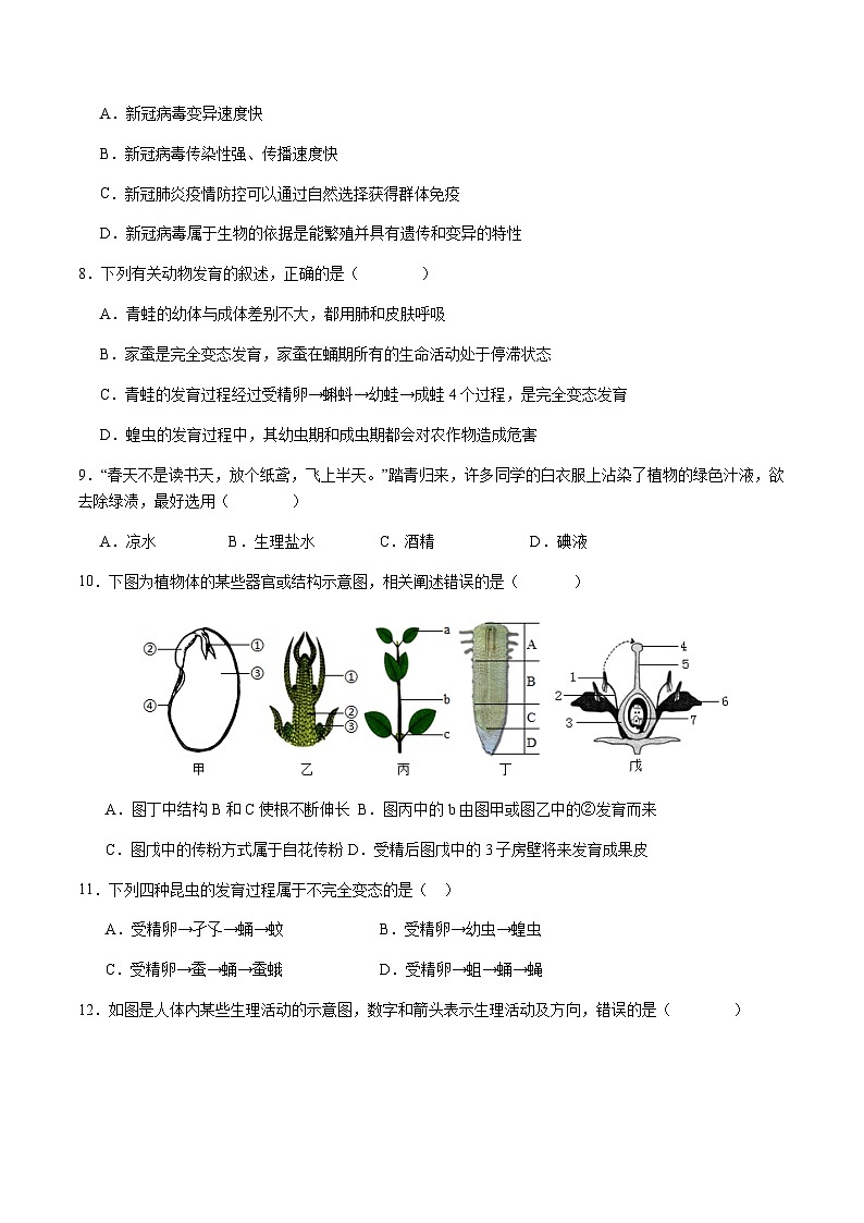 2024年中考生物（湖南省）第二次模拟考试（含答案）第3页